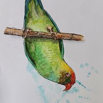 My project in Artistic Watercolor Techniques for Illustrating Birds course. Traditional illustration, Watercolor Painting, Realistic Drawing, and Naturalistic Illustration project by megara_tegal - 06.16.2021