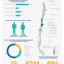 Mi Proyecto del curso: Visualización gráfica: simplifica historias complejas en imágenes Ein Projekt aus dem Bereich Designverwaltung, Grafikdesign, Informationsdesign, Marketing, Infografik und Kommunikation von Stefani Mardones - 06.06.2021