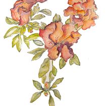 Il mio progetto del corso:  Sketchbook botanico: un approccio meditativo. Ilustração tradicional, Esboçado, Desenho, Pintura em aquarela, Ilustração botânica, e Sketchbook projeto de mialunadesign - 06.06.2021