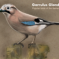 My project in Naturalist Animal Illustration with Procreate course. Un proyecto de Ilustración tradicional, Ilustración digital, Dibujo realista e Ilustración naturalista				 de Pedro Reis - 05.06.2021