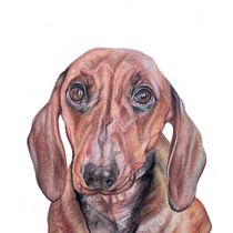 Mon projet du cours : Techniques expérimentales d’aquarelle pour débutants. Un progetto di Illustrazione tradizionale, Belle arti, Pittura ad acquerello e Illustrazione naturalistica di Martine Savart - 06.06.2021