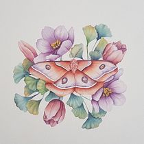 My project in Naturalist Illustrations with Watercolors: Drawing and Composition course. Traditional illustration, Drawing, Watercolor Painting, and Naturalistic Illustration project by Cathy Boheas - 06.07.2021