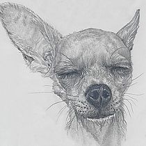 Meus projetos do curso: Retrato realista com lápis grafite. Traditional illustration, Fine Arts, Sketching, Pencil Drawing, Drawing, Portrait Drawing, Realistic Drawing, Artistic Drawing, and Figure Drawing project by Débora de Oliveira Cintra e Silva - 05.17.2021