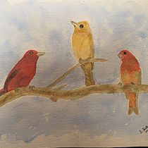 My project in Artistic Watercolor Techniques for Illustrating Birds course. Traditional illustration, Watercolor Painting, Realistic Drawing, and Naturalistic Illustration project by Shirley Hallman - 06.09.2021
