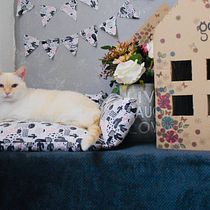 Gatocho en las nubes. Un proyecto de Fotografía, Redes Sociales, Fotografía con móviles, Fotografía de producto, Instagram, Fotografía para Instagram, Dirección de arte, Fotografía artística y Mobile marketing de Aída Magaña - 10.06.2021