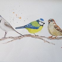 My project in Artistic Watercolor Techniques for Illustrating Birds course. Traditional illustration, Watercolor Painting, Realistic Drawing, and Naturalistic Illustration project by Isabel Caroline - 06.10.2021