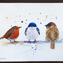 My project in Artistic Watercolor Techniques for Illustrating Birds course. Traditional illustration, Watercolor Painting, Realistic Drawing, and Naturalistic Illustration project by suzanne_kosik - 06.10.2021