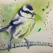 My project in Artistic Watercolor Techniques for Illustrating Birds course. Traditional illustration, Watercolor Painting, Realistic Drawing, and Naturalistic Illustration project by caareroot - 06.12.2021