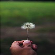 Mi Proyecto del curso: Introducción a la fotografía de viaje Ein Projekt aus dem Bereich Fotografie, Außenfotografie, Fotografie für Instagram, Dokumentarfotografie und Fotografische Komposition von costa.agustin995 - 11.06.2021