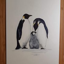 My project in Artistic Watercolor Techniques for Illustrating Birds course. Traditional illustration, Watercolor Painting, Realistic Drawing, and Naturalistic Illustration project by Alena Uhrinová - 06.13.2021