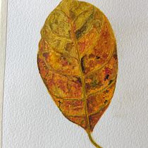 My project in Botanical Illustration with Watercolors course. Ilustração tradicional, Artes plásticas, Pintura, Desenho, Pintura em aquarela e Ilustração botânica projeto de Dhani Goregaonkar - 13.06.2021