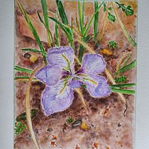 My project in Botanical Illustration with Watercolors course: The Delicate Iris . Ilustração tradicional, Artes plásticas, Pintura, Desenho, Pintura em aquarela e Ilustração botânica projeto de Zoya Kouzmina - 11.06.2021