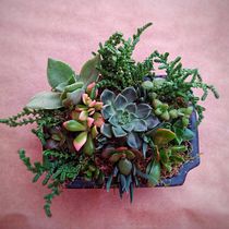 Mi Proyecto del curso: Diseño y creación de composiciones botánicas. Un proyecto de Diseño de interiores, Paisajismo, Decoración de interiores y DIY de Bea R. W. - 13.06.2021