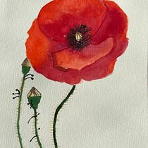 Mi Proyecto del curso: Acuarela botánica: ilustra la anatomía de las flores. Un progetto di Illustrazione tradizionale, Belle arti, Pittura, Disegno, Pittura ad acquerello e Illustrazione botanica di Barbara Jara Valderrama - 14.06.2021