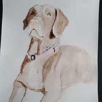 Mi Proyecto del curso: Técnicas experimentales de acuarela para principiantes . Un progetto di Illustrazione tradizionale, Belle arti, Pittura ad acquerello e Illustrazione naturalistica di silvia_ikki - 15.06.2021