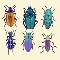 My project in Scientific Illustration for Pattern Design course. Un projet de Illustration traditionnelle, Création de motifs, Illustration numérique et Illustration naturaliste de Aneta Urbanik - 15.07.2021