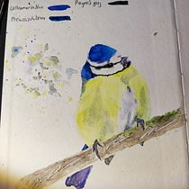 My project in Artistic Watercolor Techniques for Illustrating Birds course. Traditional illustration, Watercolor Painting, Realistic Drawing, and Naturalistic Illustration project by Metzler Claudia - 06.15.2021