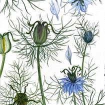 Mein Kursprojekt: Botanische Illustration mit Wasserfarben. Ilustração tradicional, Artes plásticas, Pintura, Desenho, Pintura em aquarela e Ilustração botânica projeto de Yasmin Schlobies - 16.06.2021