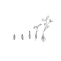 Meu projeto do curso: Criação de histórias para crianças. Projekt z dziedziny Pisanie, Stor, telling, Ilustracje dla dzieci, Kreat, wne zabaw, z dziećmi i Narracja użytkownika Caira LM - 16.06.2021