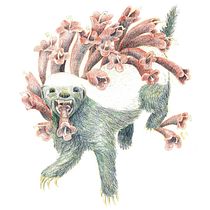 My honey badger project in Surrealist Illustration Inspired by Nature course. Traditional illustration, Pencil Drawing, Drawing, Artistic Drawing, and Naturalistic Illustration project by Angela Boyle - 06.16.2021
