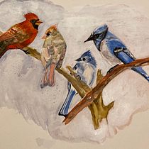 My project in Artistic Watercolor Techniques for Illustrating Birds course. Traditional illustration, Watercolor Painting, Realistic Drawing, and Naturalistic Illustration project by Jayn Mayton - 06.12.2021