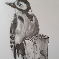 Mon projet du cours : Techniques artistiques d'aquarelle pour illustrer les oiseaux. Traditional illustration, Watercolor Painting, Realistic Drawing, and Naturalistic Illustration project by berenicefierim - 05.05.2021