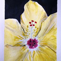 My project in Botanical Illustration with Watercolors course. Ilustração tradicional, Artes plásticas, Pintura, Desenho, Pintura em aquarela e Ilustração botânica projeto de Pepper Pepper - 18.06.2021