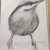 My project in Artistic Watercolor Techniques for Illustrating Birds course. Traditional illustration, Watercolor Painting, Realistic Drawing, and Naturalistic Illustration project by karen Barwise - 06.19.2021
