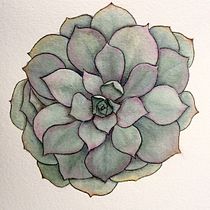 My project in Botanical Sketchbooking: A Meditative Approach course. Ilustração tradicional, Esboçado, Desenho, Pintura em aquarela, Ilustração botânica, e Sketchbook projeto de klaaslinda - 18.06.2021
