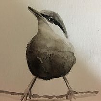 Mi Proyecto del curso: Acuarela artística para ilustración de aves. Traditional illustration, Watercolor Painting, Realistic Drawing, and Naturalistic Illustration project by veronicuk - 06.19.2021
