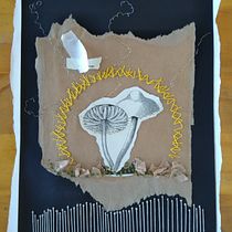 Mi Proyecto del curso: Técnicas de bordado experimental sobre papel. Un progetto di Belle arti, Collage e Ricamo di Bárbara Quiroga Pérez - 21.06.2021