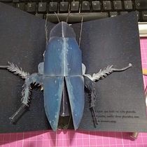 Meu projeto do curso: Livros pop-up interativos: crie mundos de papel. Un proyecto de Artesanía, Diseño editorial, Papercraft, Encuadernación y Creatividad con niños de Berenice Gehlen Adams - 21.06.2021