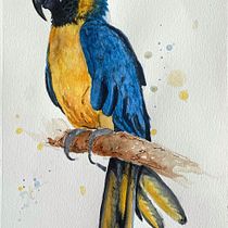 My project in Artistic Watercolor Techniques for Illustrating Birds course. Traditional illustration, Watercolor Painting, Realistic Drawing, and Naturalistic Illustration project by Pranami Bora - 06.16.2021