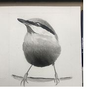 My project in Artistic Watercolor Techniques for Illustrating Birds course. Traditional illustration, Watercolor Painting, Realistic Drawing, and Naturalistic Illustration project by rosifg9421 - 06.20.2021