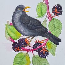 My project in Naturalist Bird Illustration with Watercolors course. Projekt z dziedziny Trad, c, jna ilustracja, Malowanie akwarelą, R, sunek realist, czn, Ilustracja naturalist i czna użytkownika Emma Bengtsson - 22.06.2021