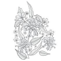 Mi Proyecto del curso: Ilustración y diseño de patrones florales. Traditional illustration, Painting, Pattern Design, Drawing, and Botanical Illustration project by Mayra Alejandra - 06.21.2021