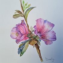 Mi Proyecto del curso: Acuarela botánica: ilustra la anatomía de las flores. Ilustração tradicional, Artes plásticas, Pintura, Desenho, Pintura em aquarela e Ilustração botânica projeto de Liliana Donato - 22.06.2021