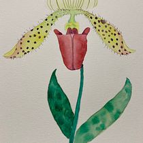 Meu projeto do curso: Aquarela botânica: ilustre a anatomia das flores. Un progetto di Illustrazione tradizionale, Belle arti, Pittura, Disegno, Pittura ad acquerello e Illustrazione botanica di Carolina - 23.06.2021