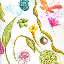 Mi Proyecto del curso: Creación de estampados en acuarela. Pattern Design, Fashion Design, and Watercolor Painting project by Hélène Duplessis - 06.04.2021
