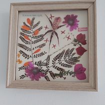 Mi Proyecto del curso: Técnicas básicas de prensado botánico. Un progetto di Artigianato, Belle arti, Collage e DIY di gelita36 - 23.06.2021
