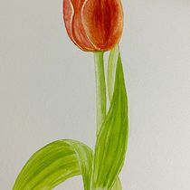 Mi Proyecto del curso: Acuarela botánica: ilustra la anatomía de las flores. Un progetto di Illustrazione tradizionale, Belle arti, Pittura, Disegno, Pittura ad acquerello e Illustrazione botanica di Carol Mendoza - 23.06.2021