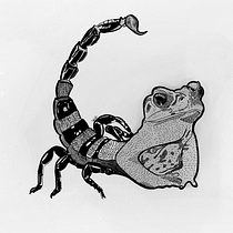 Meu projeto do curso: Desenho de tatuagem blackwork. Un projet de Illustration traditionnelle, Illustration numérique , et Conception de tatouage de William Douglas - 26.06.2021