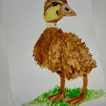 My project in Illustrating Nature: A Creative Exploration course. Traditional illustration, Painting, Drawing, Watercolor Painting, Ink Illustration, and Naturalistic Illustration project by Timmermans Jolanda - 06.26.2021