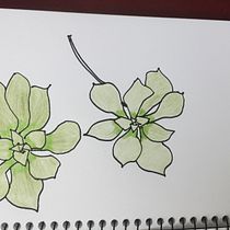 First sketches in Botanical Sketchbooking: A Meditative Approach course. Ilustração tradicional, Esboçado, Desenho, Pintura em aquarela, Ilustração botânica, e Sketchbook projeto de Virginia Fakos - 27.06.2021