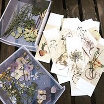 Mi Proyecto del curso: Técnicas básicas de prensado botánico -Puntos de libro inspirados en Emily Dickinson. Un progetto di Artigianato, Belle arti, Collage e DIY di Anna Gomà - 27.06.2021