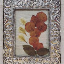 Mi Proyecto del curso: Técnicas básicas de prensado botánico. Un progetto di Artigianato, Belle arti, Collage e DIY di Maria Claudia Martinez - 26.06.2021