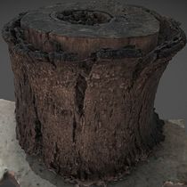 Mi Proyecto del curso: Introducción a la fotogrametría 3D Ein Projekt aus dem Bereich 3D, 3-D-Modellierung, Videospiele, 3-D-Design und Design für Videospiele von Martin Cerkvenih - 23.06.2021