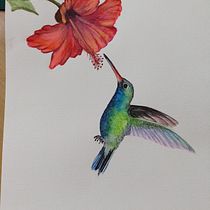 Meu projeto do curso: Técnicas expressivas de aquarela para ilustração de pássaros. Traditional illustration, Watercolor Painting, Realistic Drawing, and Naturalistic Illustration project by NILZA ALMEIDA - 06.27.2021