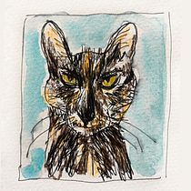 My project in Illustrating Nature: A Creative Exploration course. Traditional illustration, Painting, Drawing, Watercolor Painting, Ink Illustration, and Naturalistic Illustration project by Gül Günizi - 06.28.2021