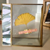 Mi Proyecto del curso: Técnicas básicas de prensado botánico. Un progetto di Artigianato, Belle arti, Collage e DIY di Paola Pacheco Ansonnaud - 28.06.2021